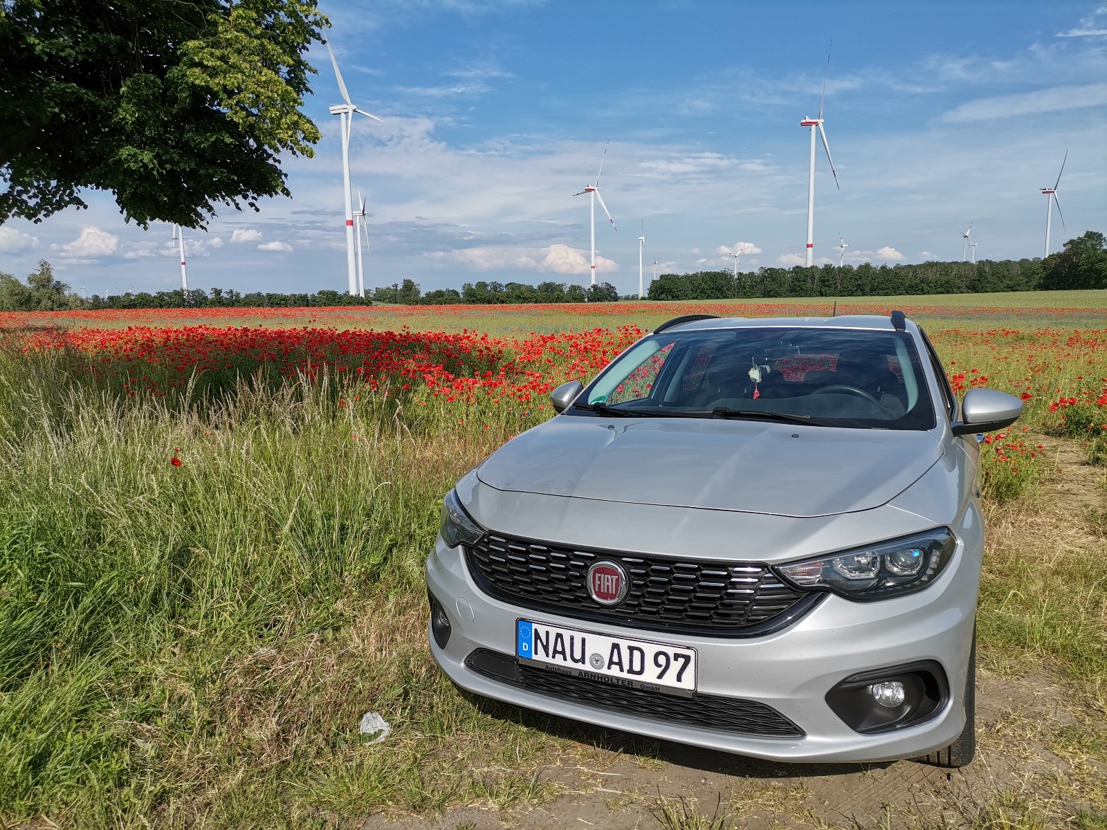 30665-img-20220531-170553-copy-1600x1200-jpg