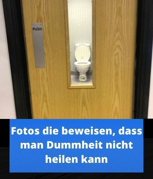 30678-282703517-5955479581133634-2849660799587608146-n-jpg