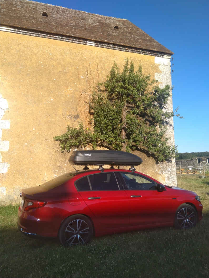 31319-resizer-165791070995813-jpg