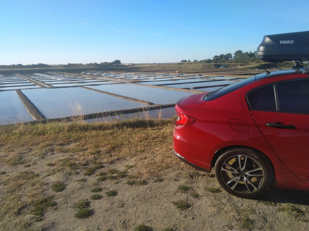 32046-resizer-16618555442891-jpg