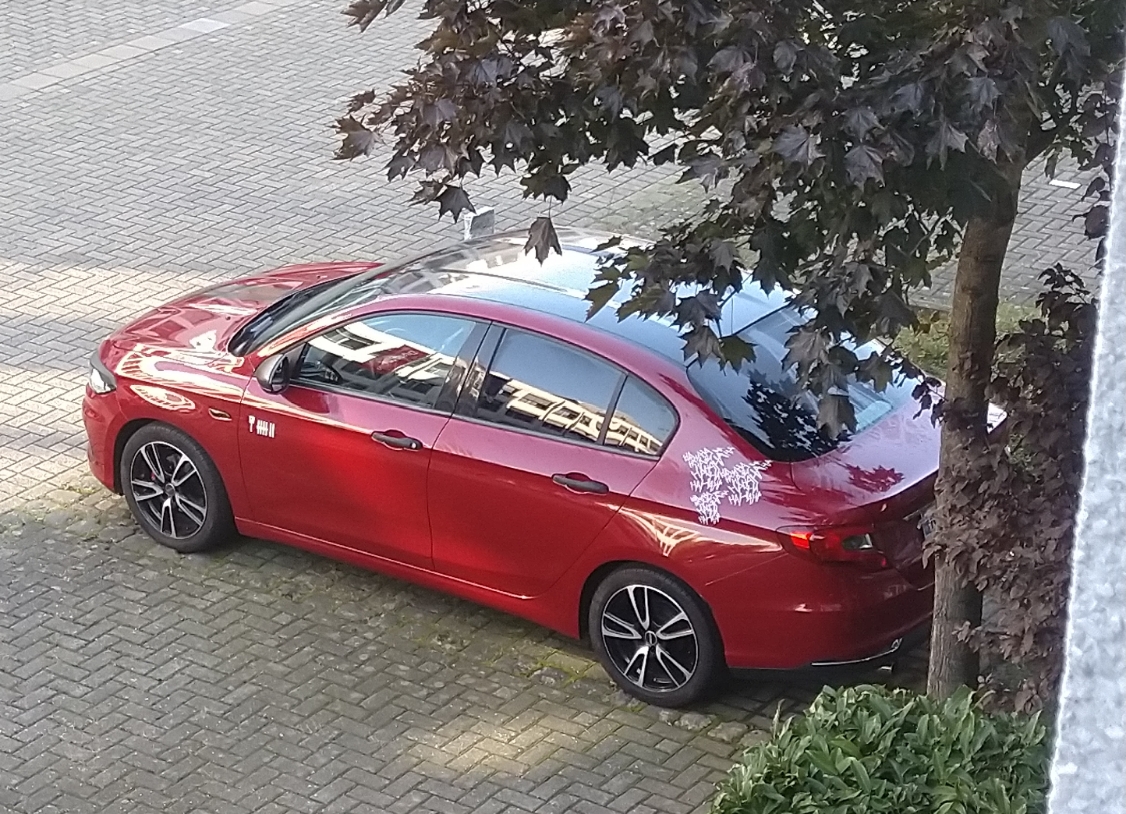 32428-resizer-16645284958151-jpg