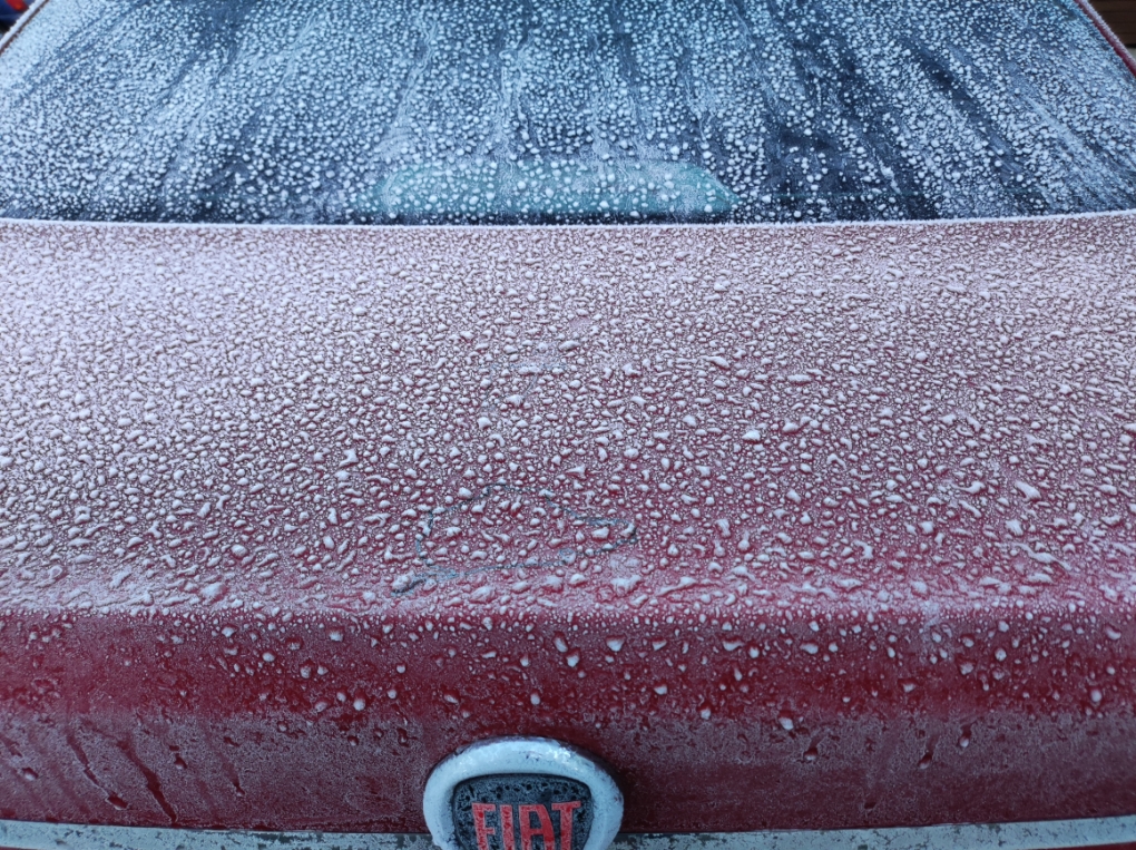 33934-resizer-16742999522121-jpeg