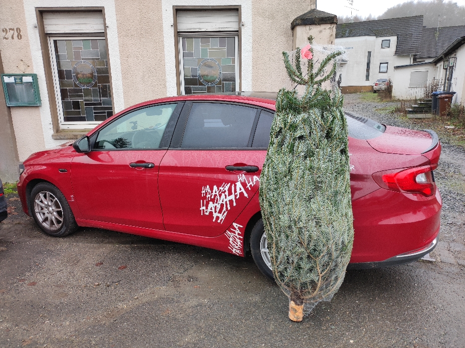 43170-resizer-17656281753501-jpg