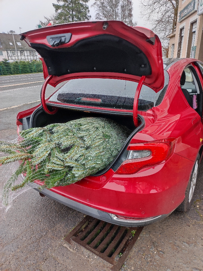 43171-resizer-17656281755843-jpg