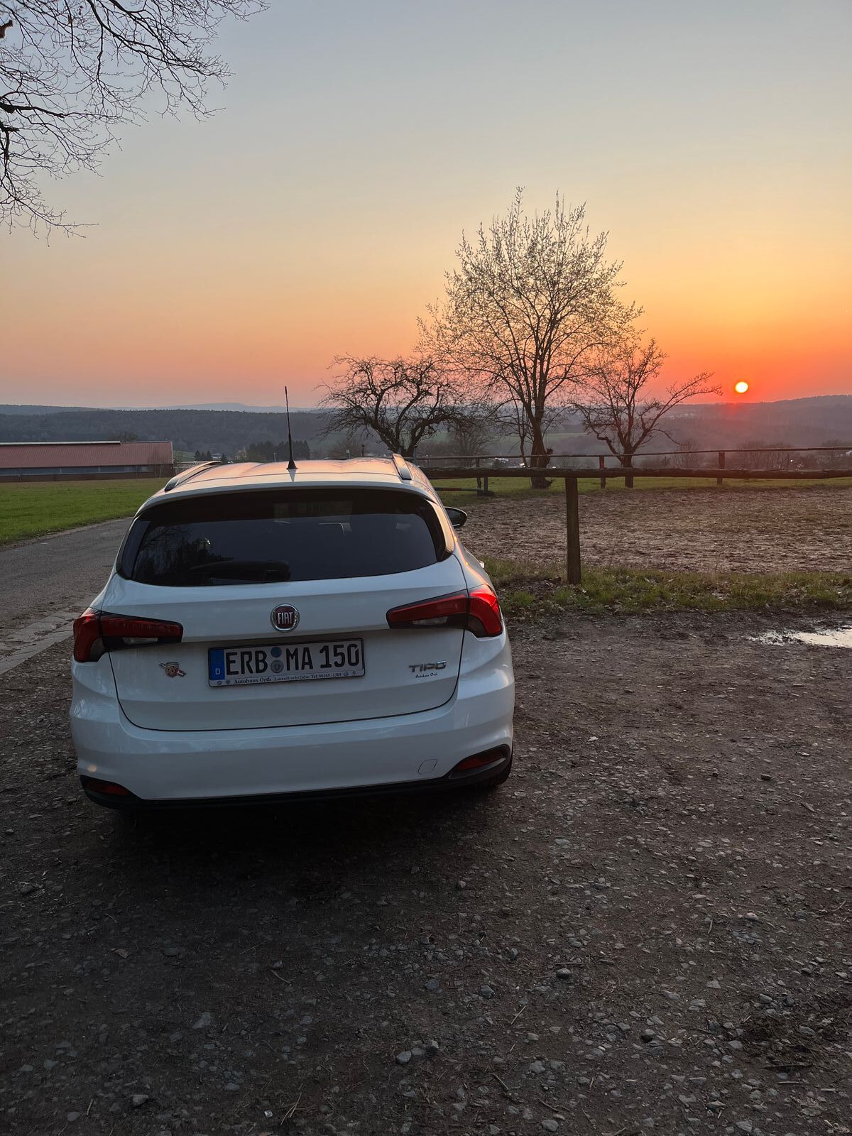 43876-abendstimmung-mit-tipo-jpg