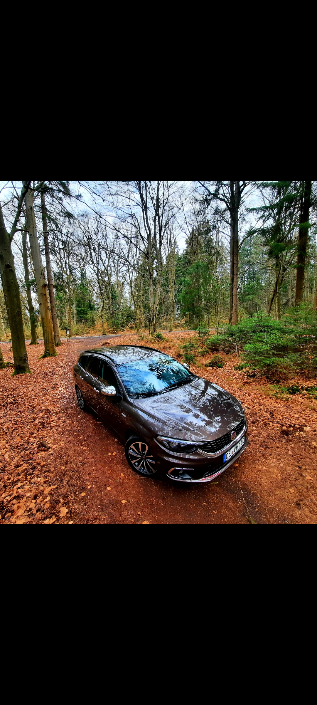 Ein bisschen Herbst im Frühling