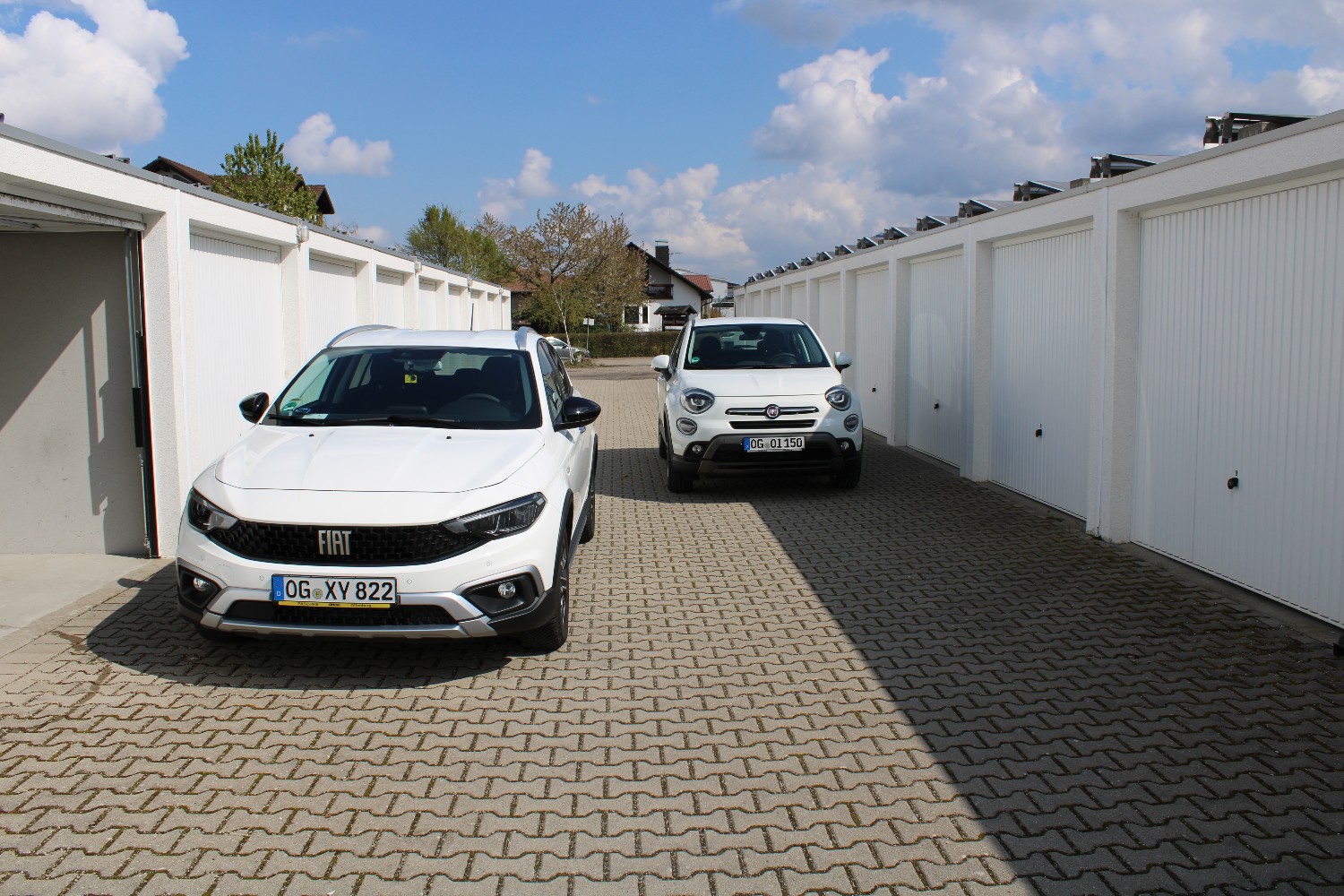 Fotos zum Bericht "ungleiche Brüder"