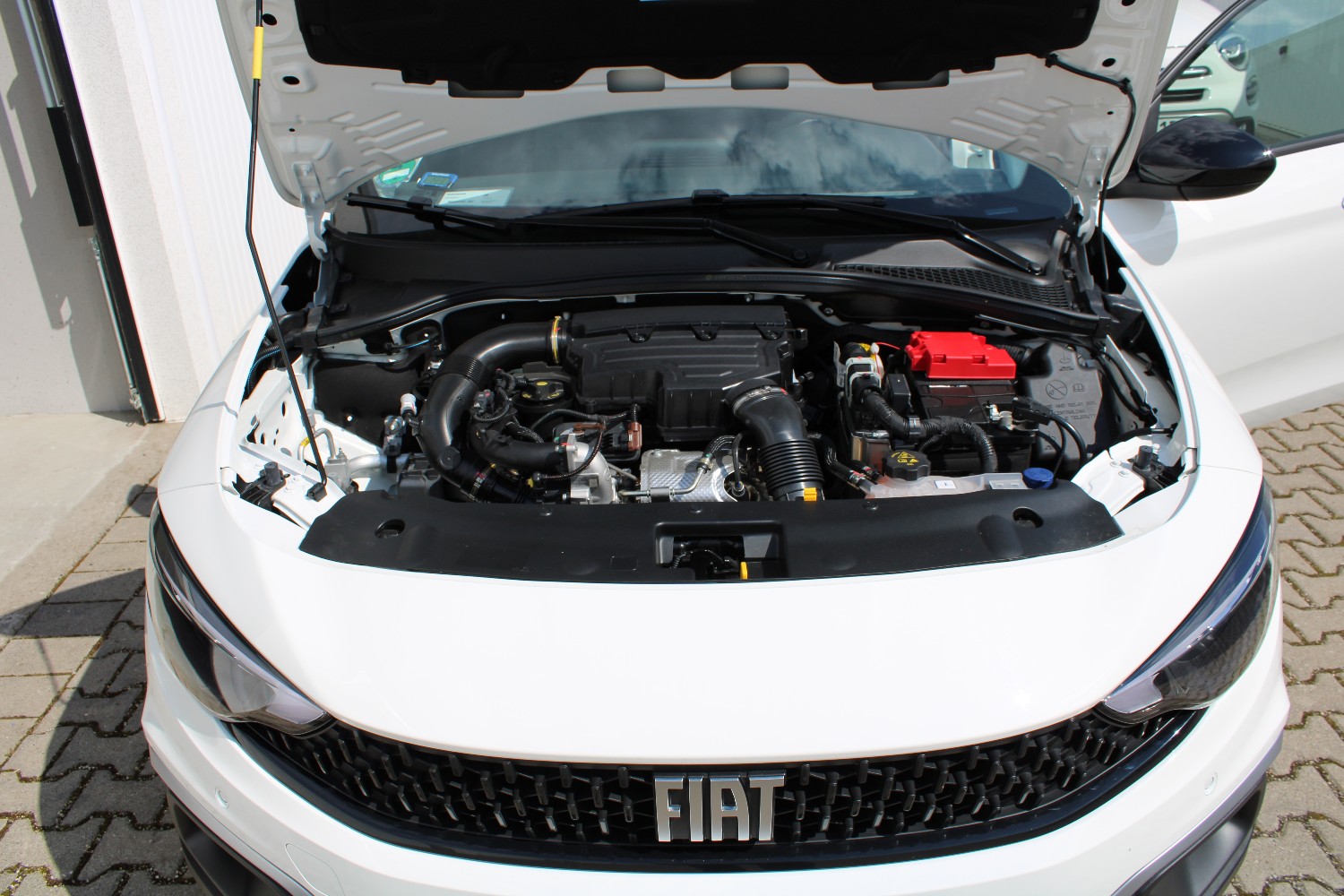 Fotos zum Bericht "ungleiche Brüder"