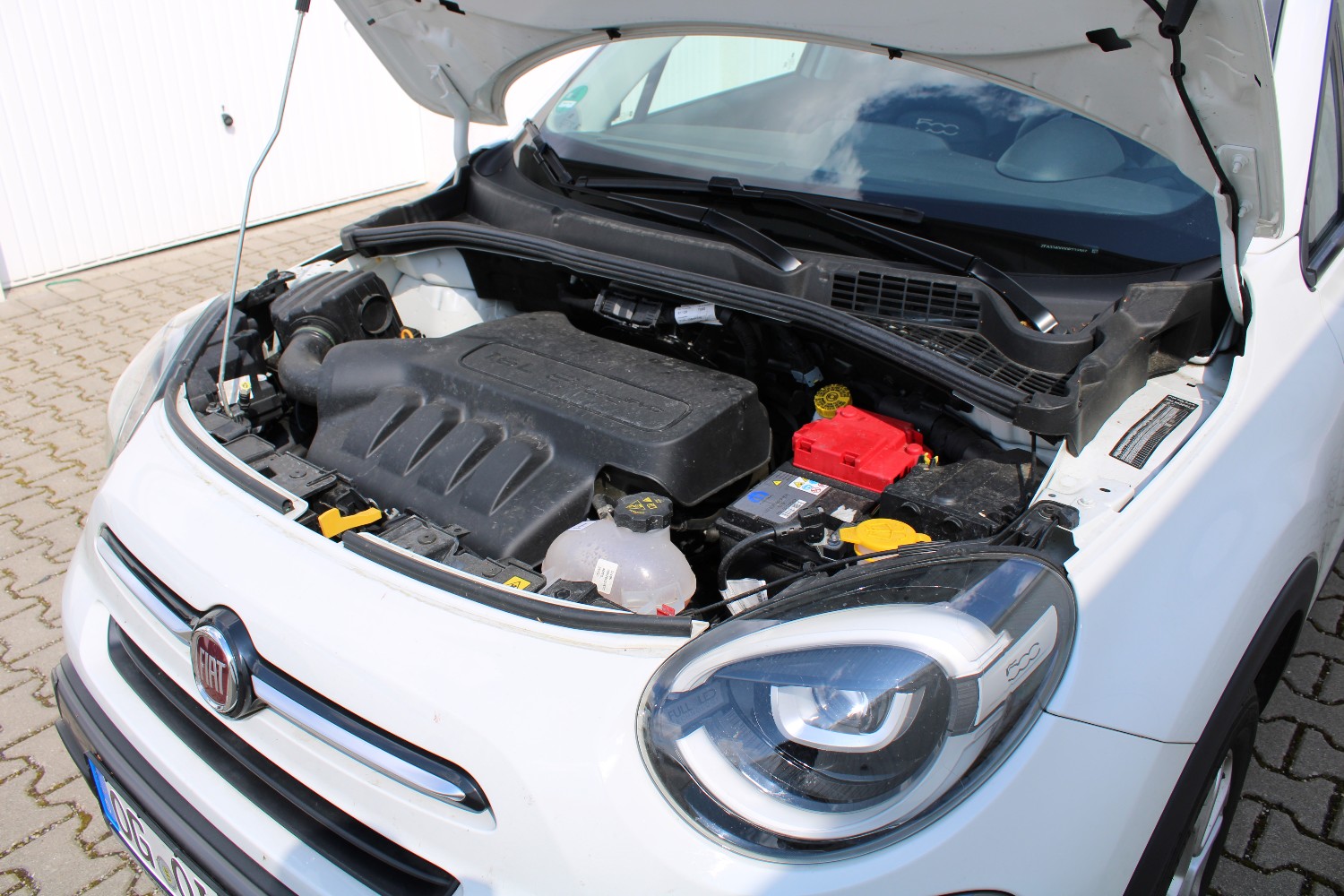 Fotos zum Bericht "ungleiche Brüder"