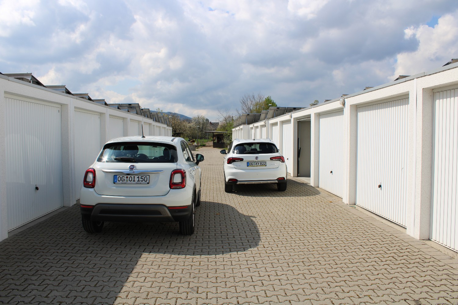 Fotos zum Bericht "ungleiche Brüder"