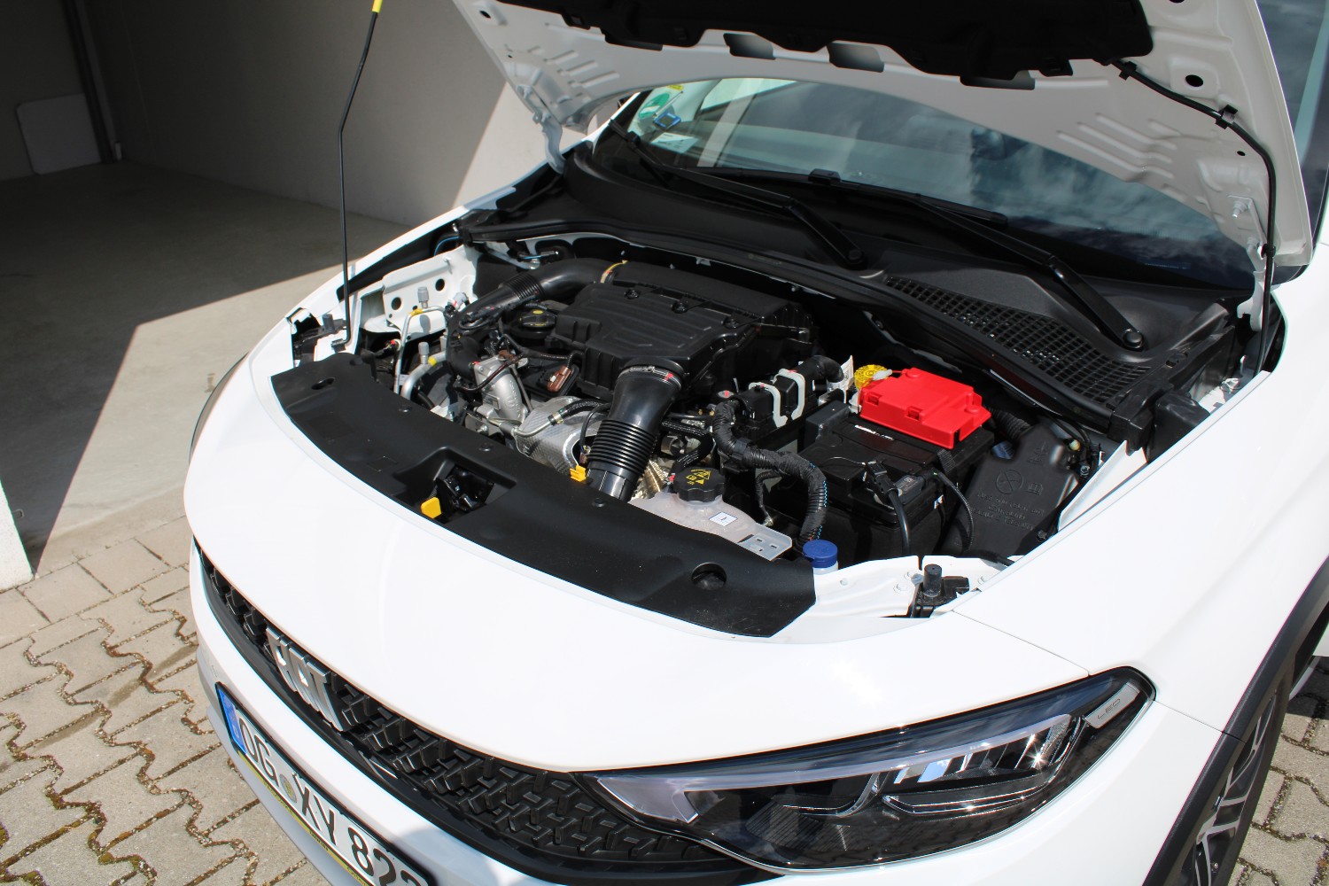 Fotos zum Bericht "ungleiche Brüder"