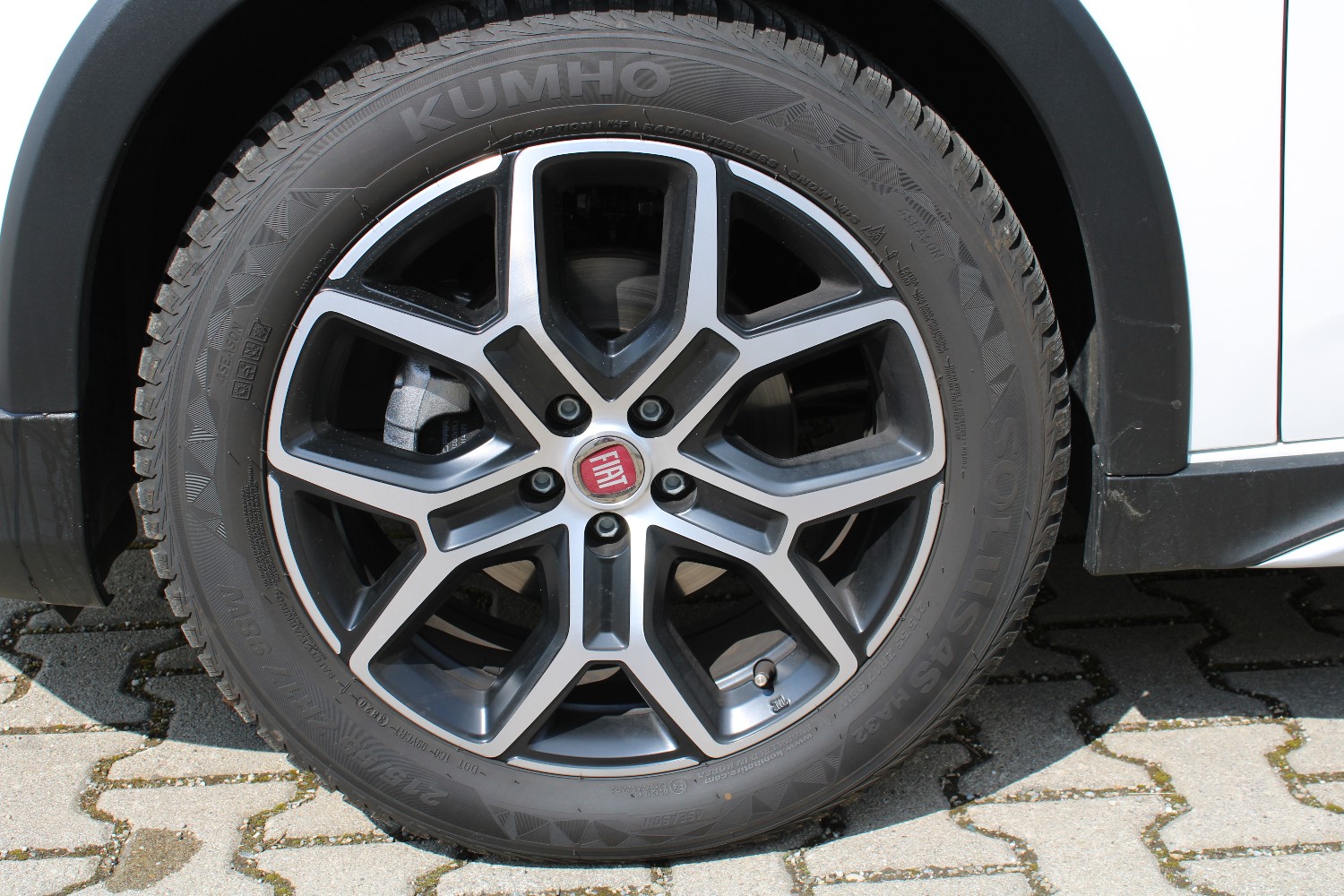 Fotos zum Bericht "ungleiche Brüder"