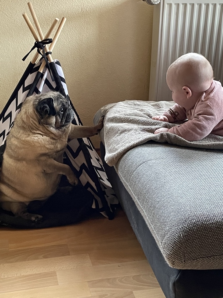 Maja hat Besuch von klein Emmi