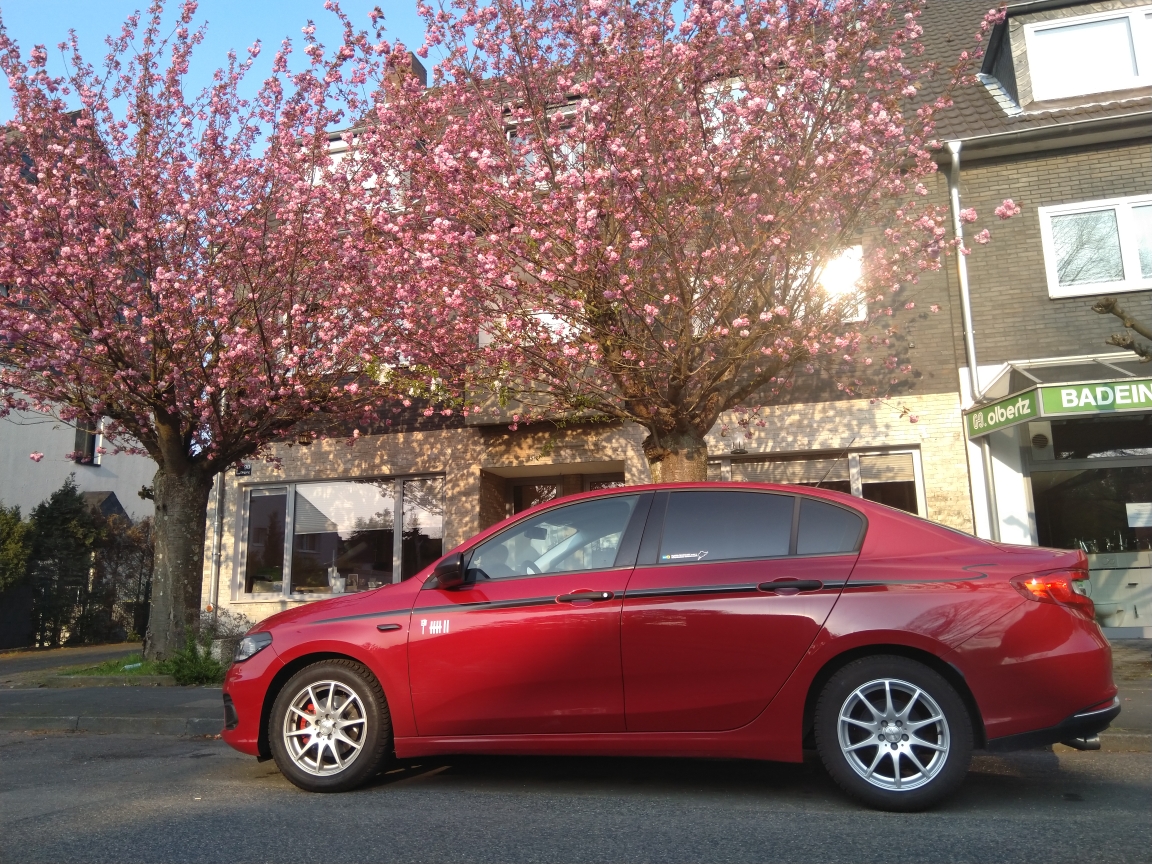 Kirschblüten vor der Haustür