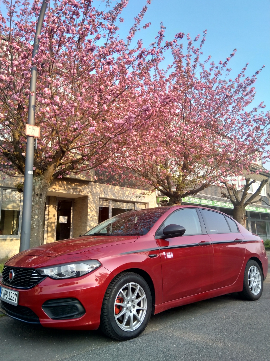 Kirschblüten - passend zur Autofarbe