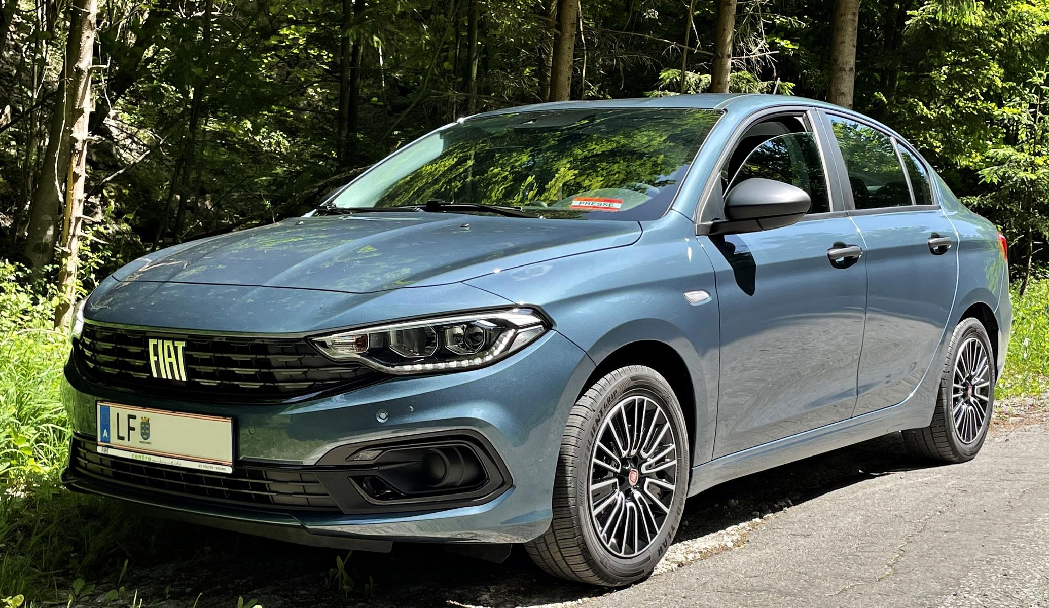 Frisch geduscht ein kurzer Stopp am Waldrand.