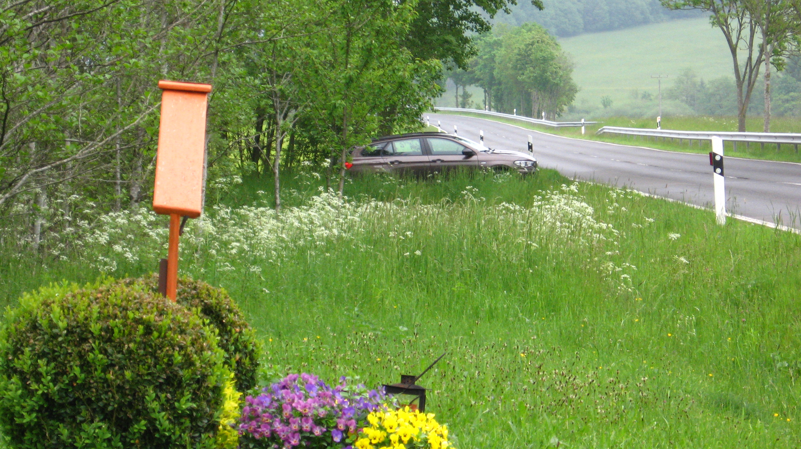 November Stimmung - Anfang Juni