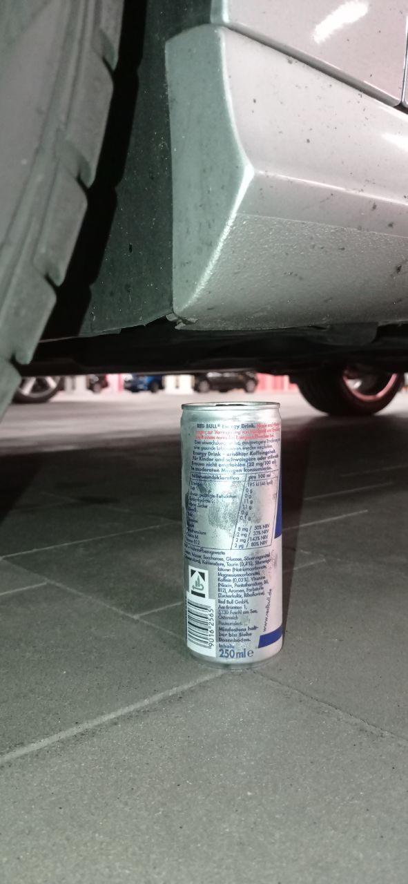 Daniele sagt so hoch wie ein Bus