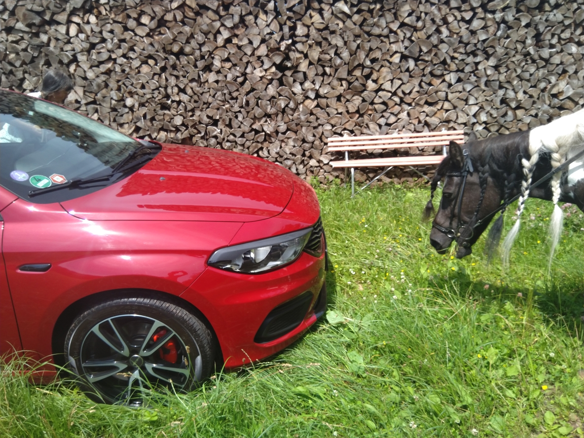 Fränkisches Stil-Leben