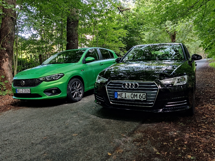 Beauty and the Beast