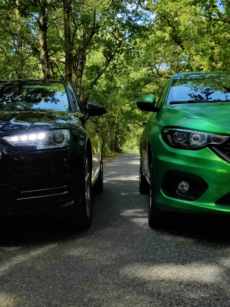 Beauty and the Beast