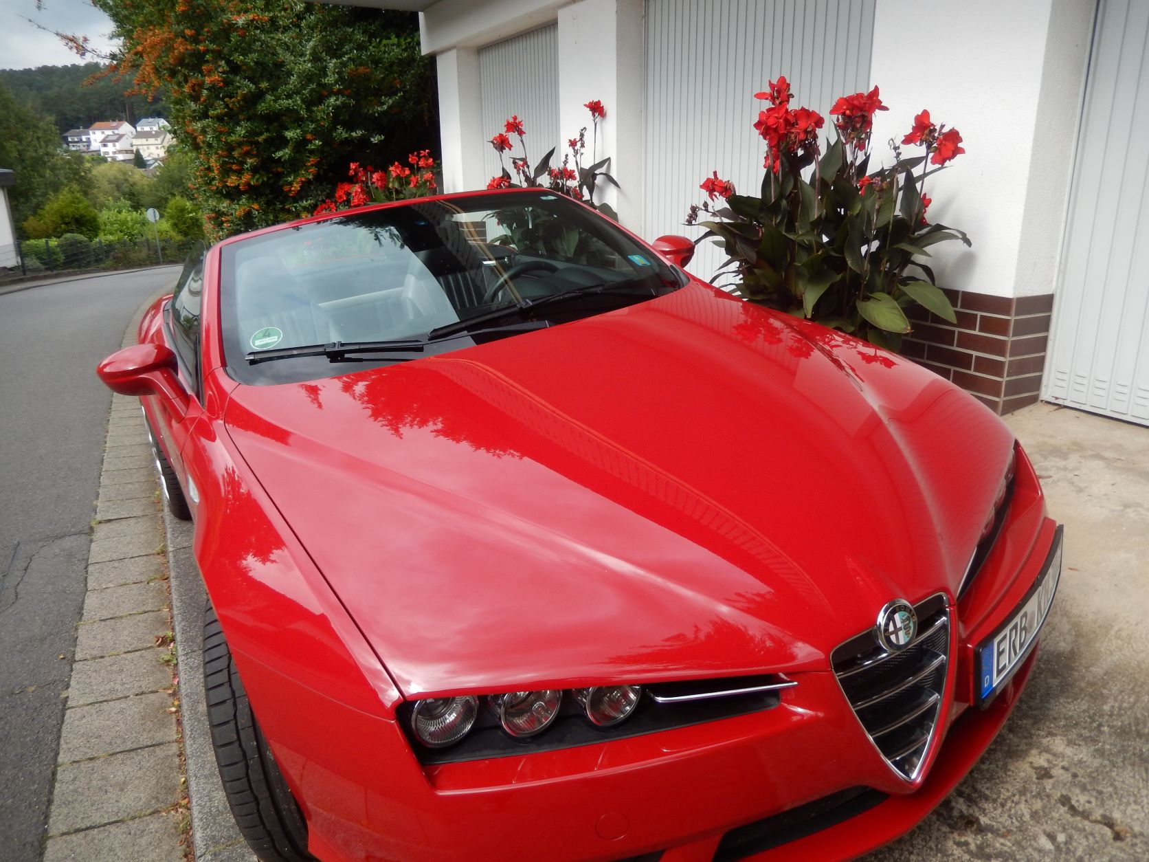 Mein neuer alter Alfa