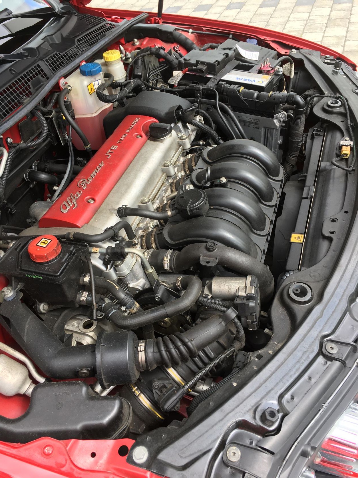 Das Herz meines Alfa