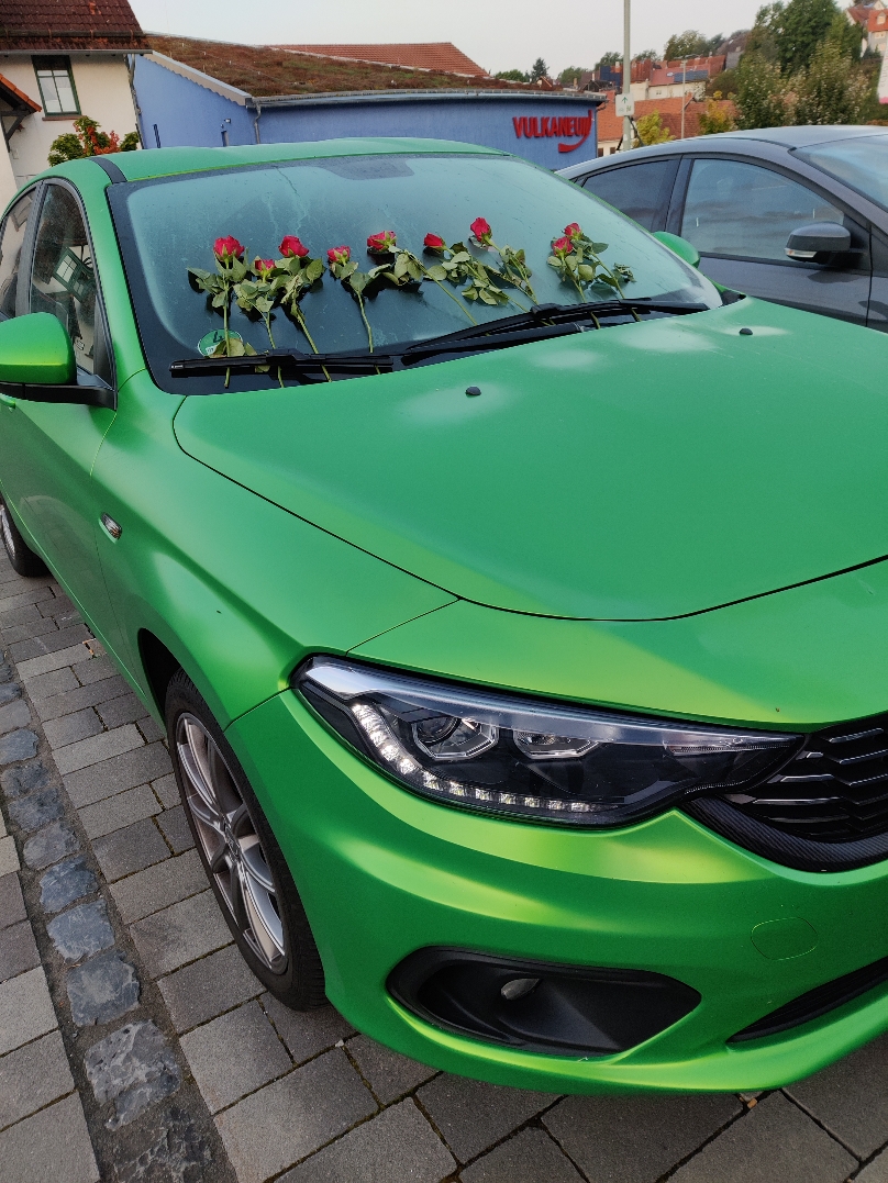 Überraschung am frühen Morgen