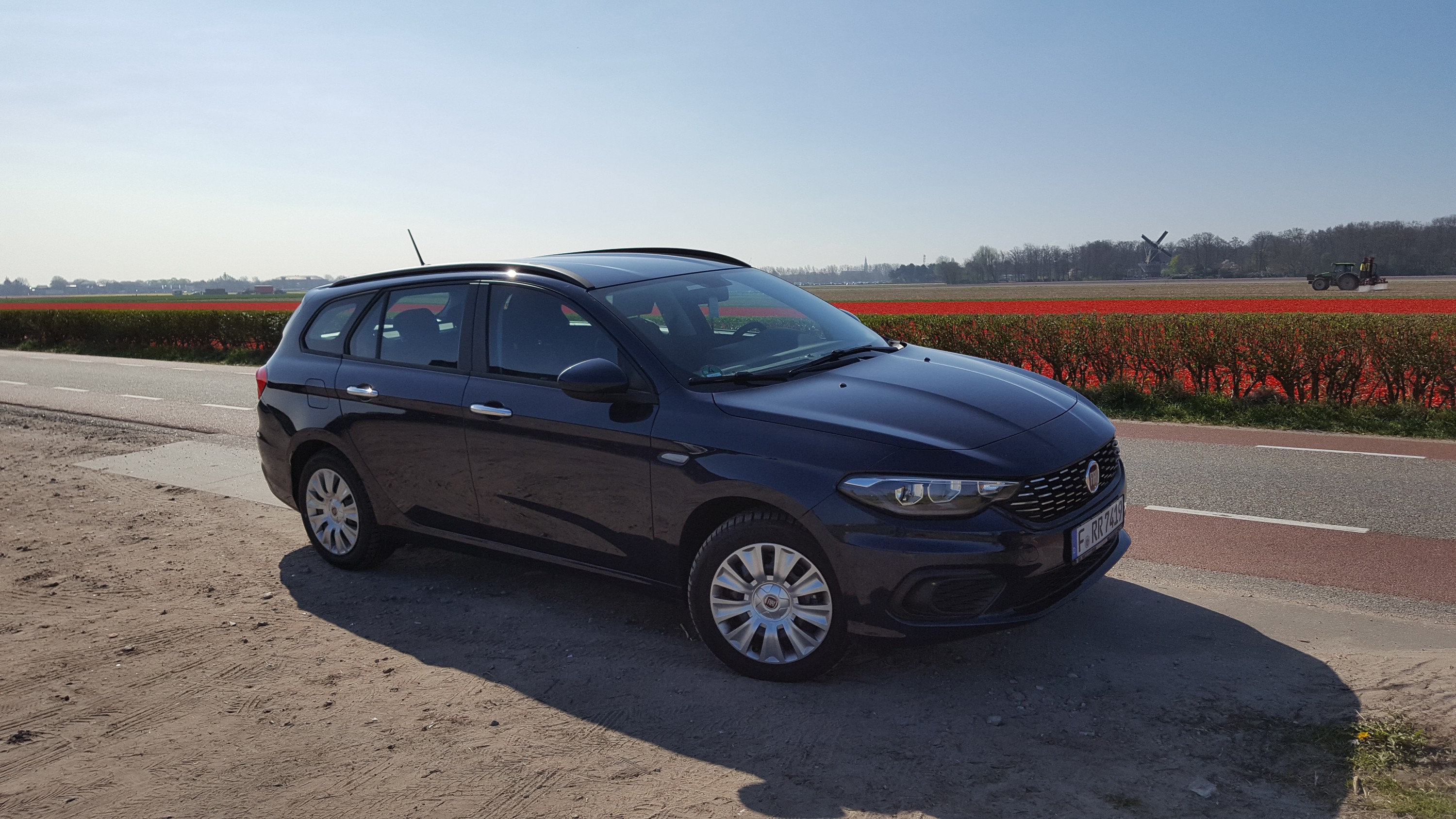 Tipo bei der Keukenhof in Holland