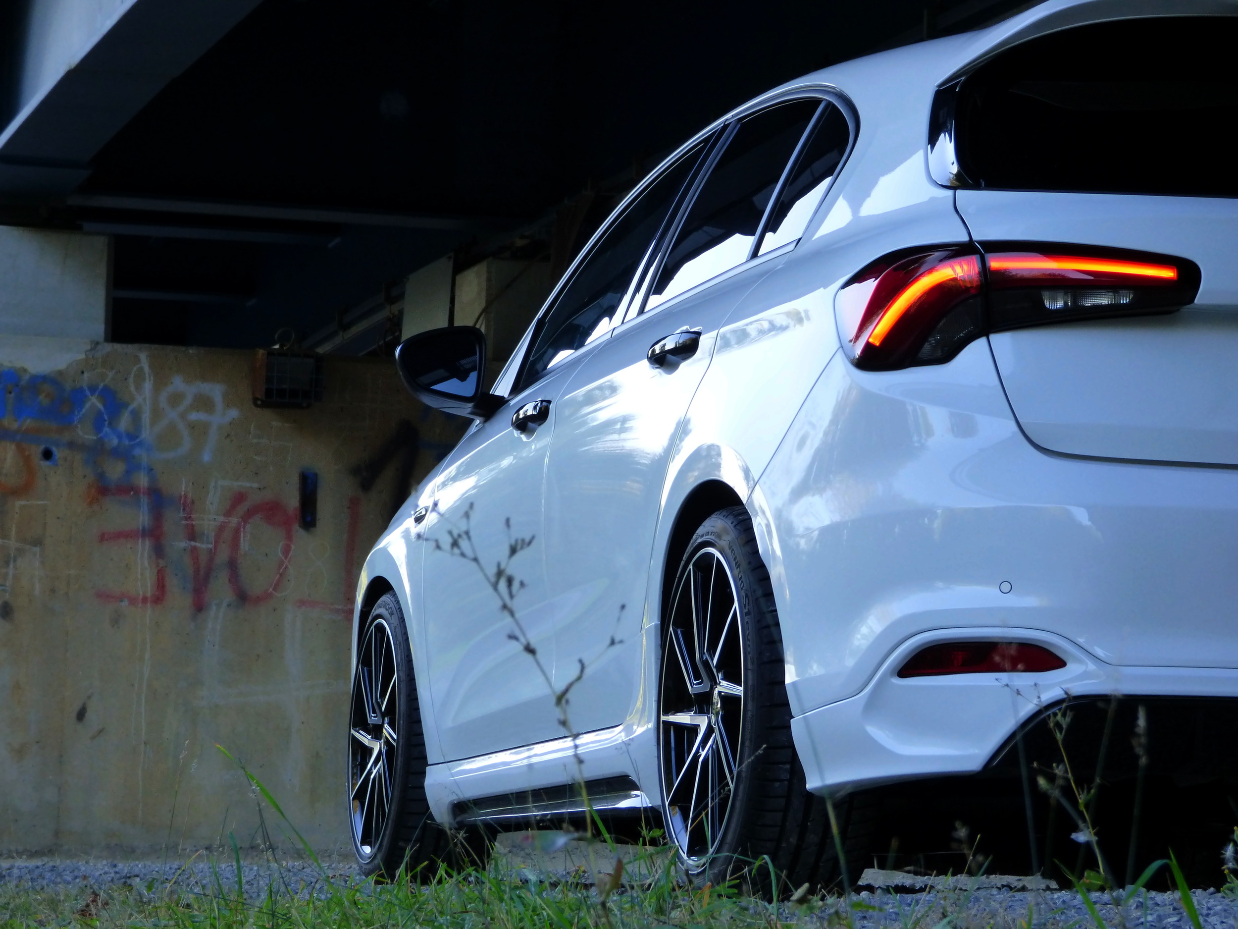 WhitePearl möchte sich auch mal wieder zeigen. Wünsche euch allen einen schönen Start in die neue Woche.