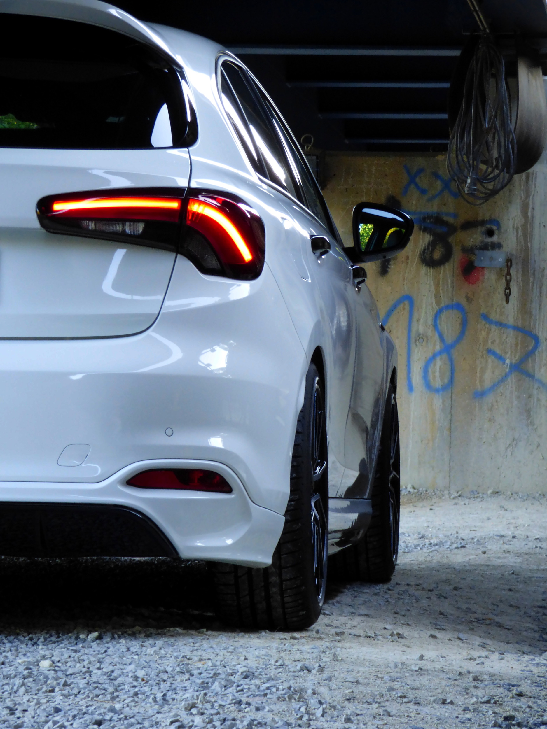 WhitePearl möchte sich auch mal wieder zeigen. Wünsche euch allen einen schönen Start in die neue Woche.