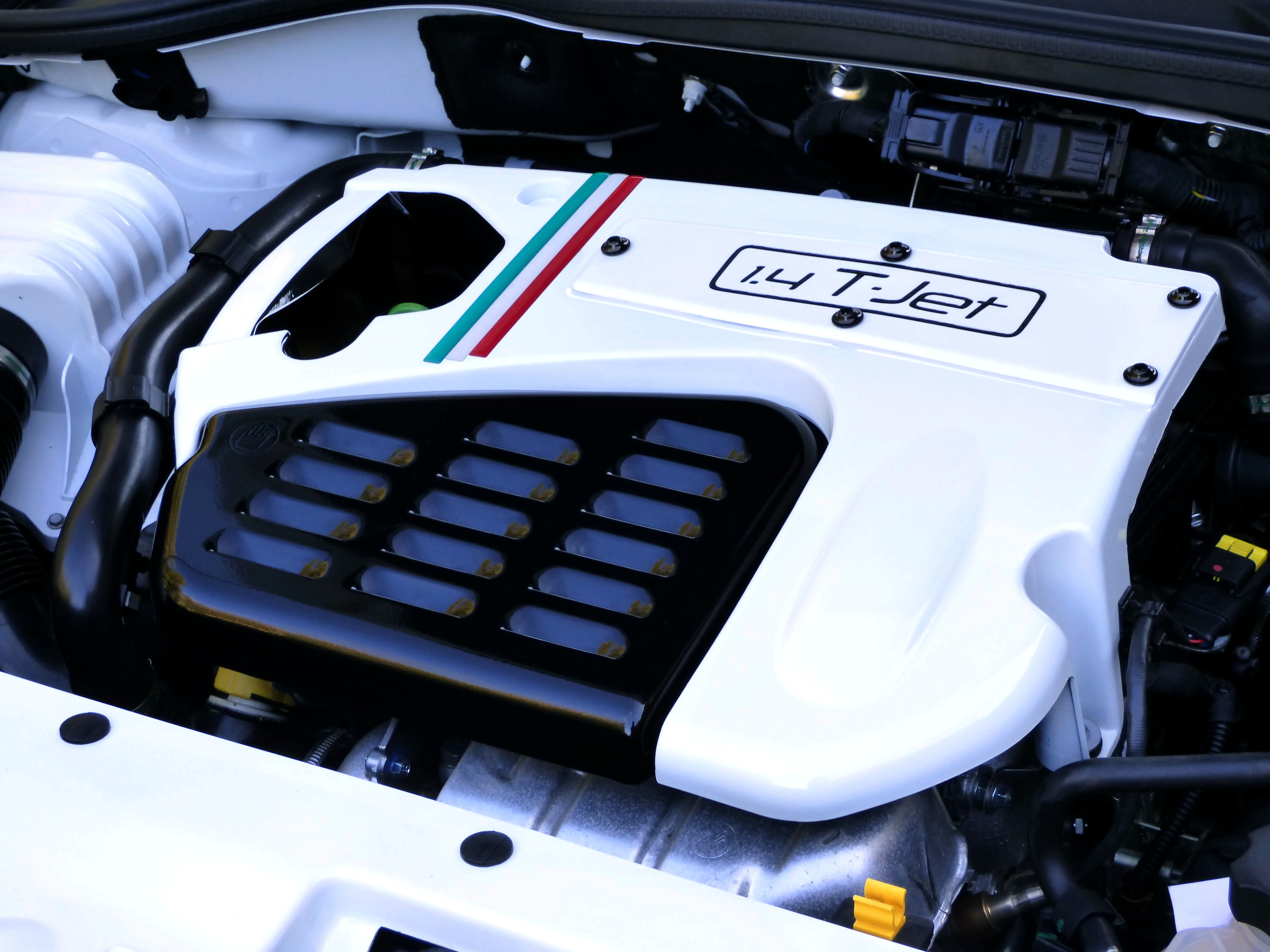 WhitePearl möchte sich auch mal wieder zeigen. Wünsche euch allen einen schönen Start in die neue Woche.