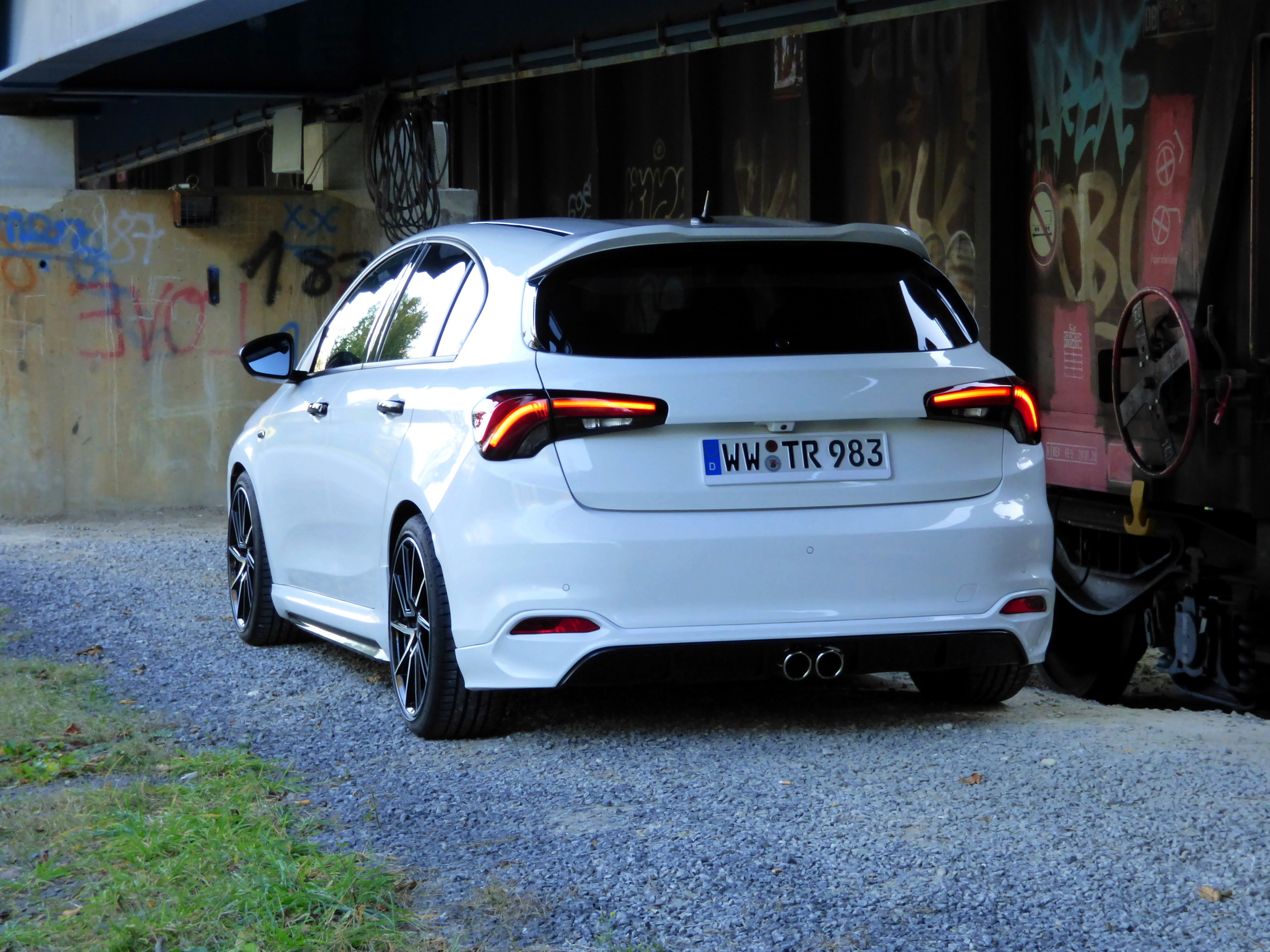 WhitePearl möchte sich auch mal wieder zeigen. Wünsche euch allen einen schönen Start in die neue Woche.