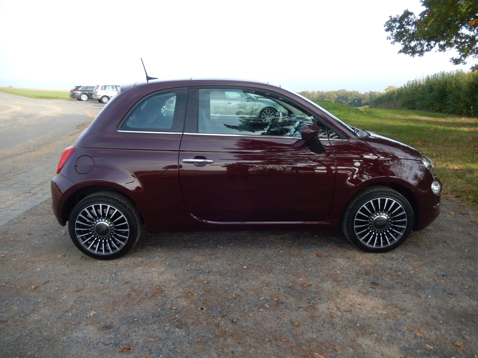 gewaschen, geknetet, poliert und gewachst.