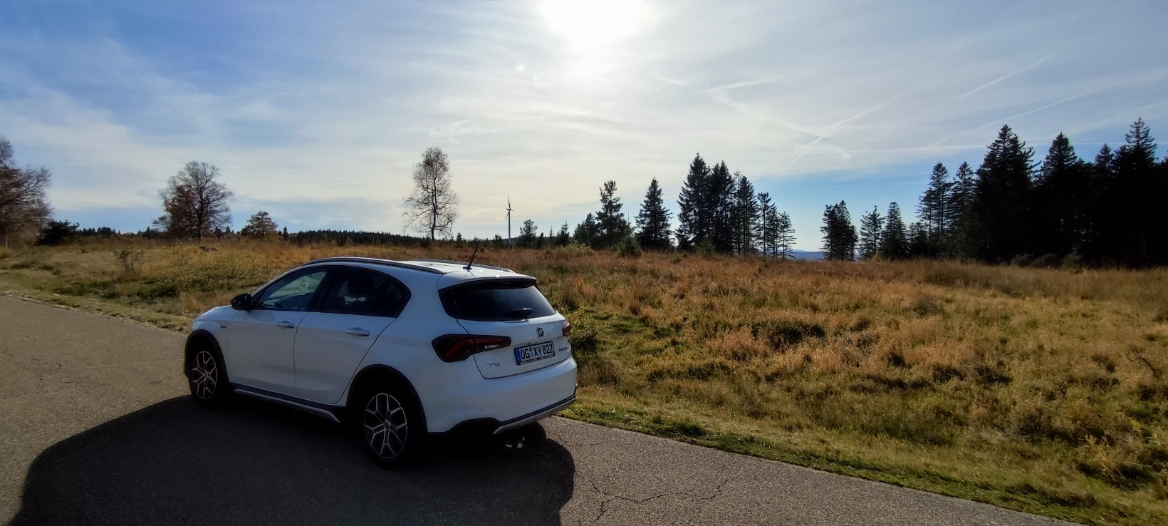 Mit der Cola-Dose im Schwarzwald