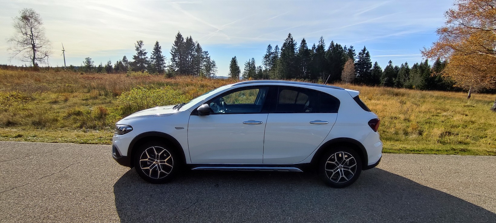 Mit der Cola-Dose im Schwarzwald