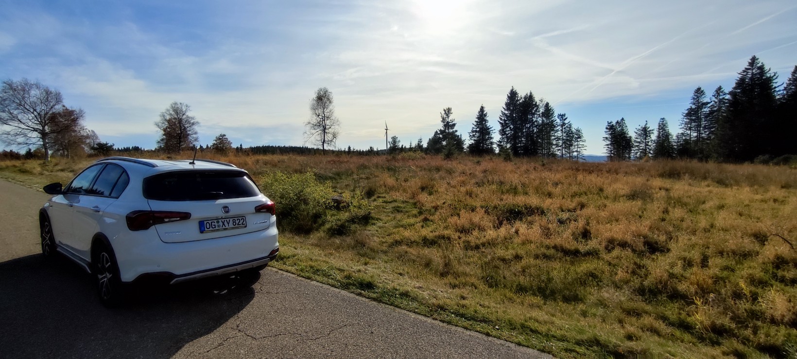 Mit der Cola-Dose im Schwarzwald