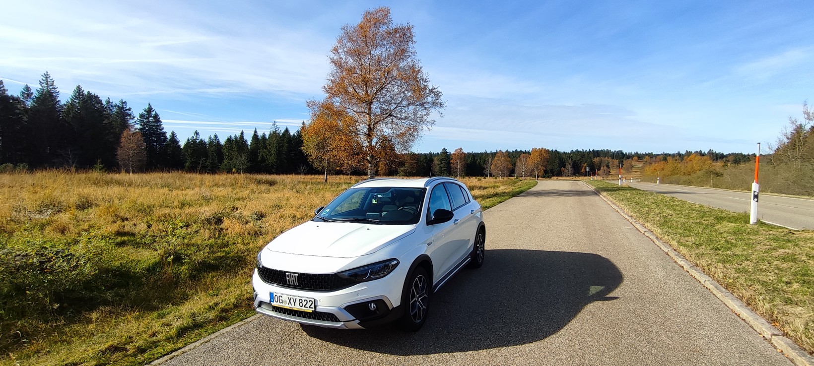 Mit der Cola-Dose im Schwarzwald