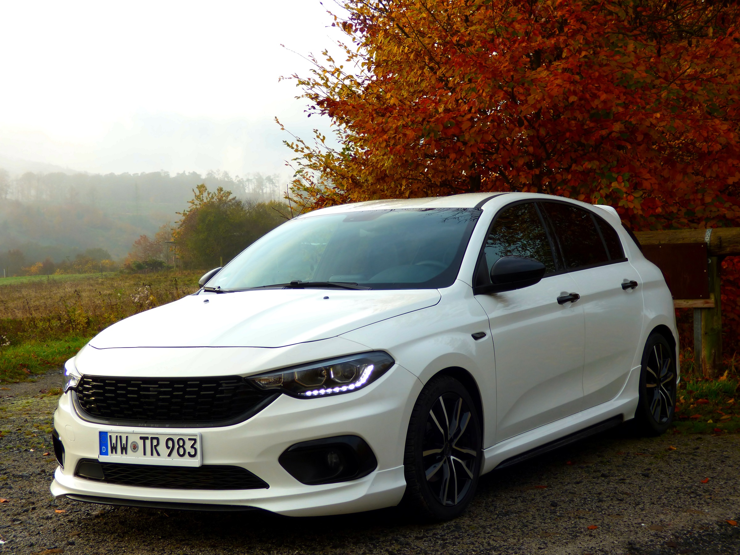 Vom Sonnenaufgang im Nebel geküsst.