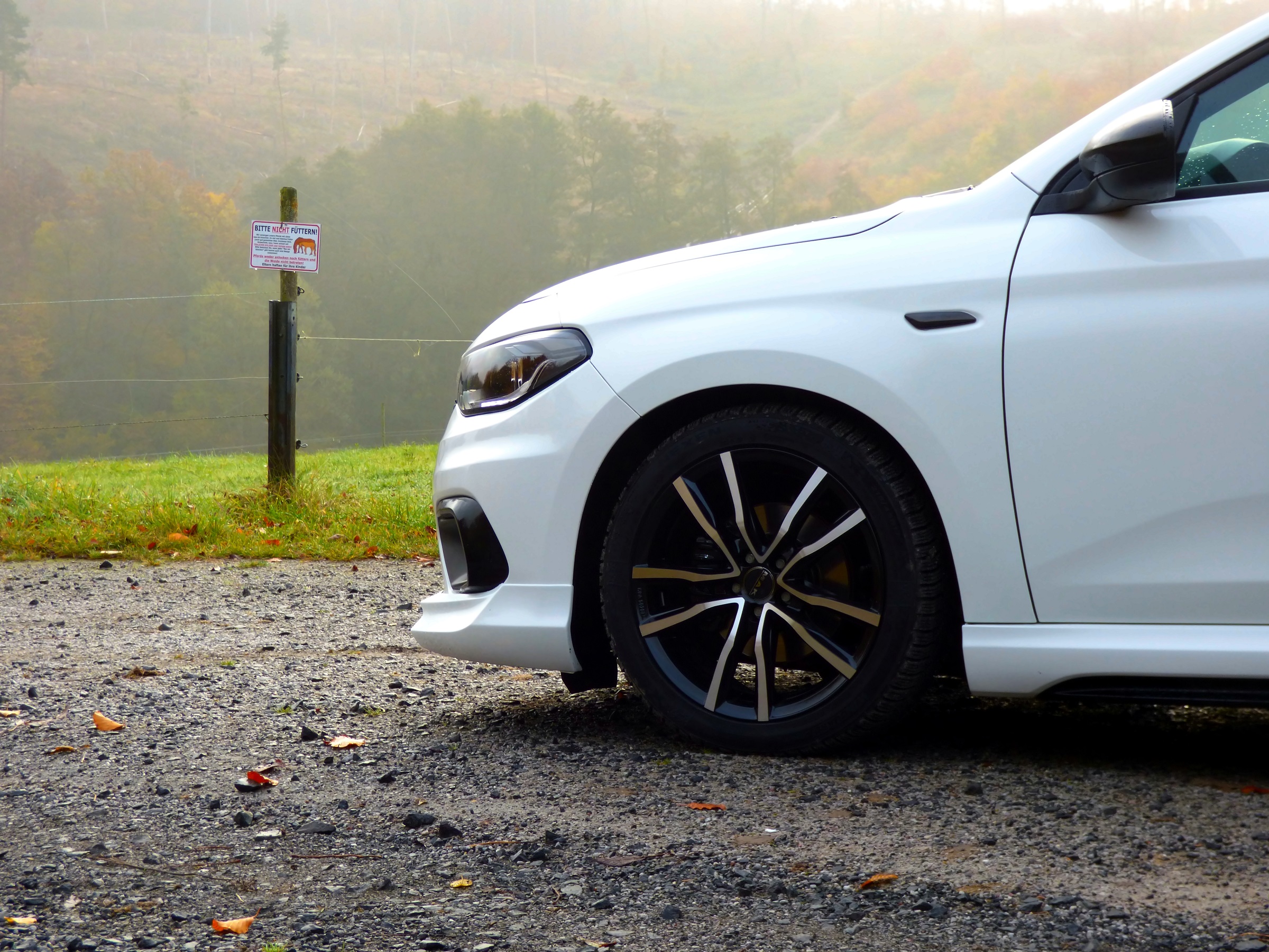 Vom Sonnenaufgang im Nebel geküsst.