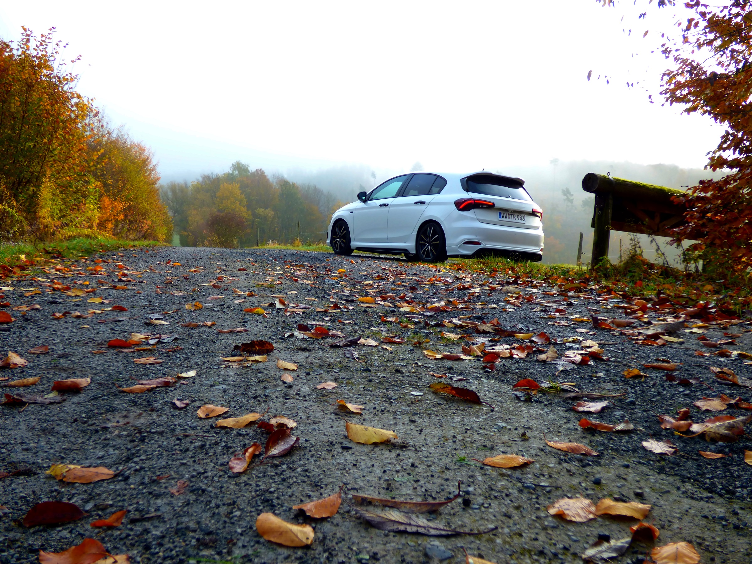 Vom Sonnenaufgang im Nebel geküsst.