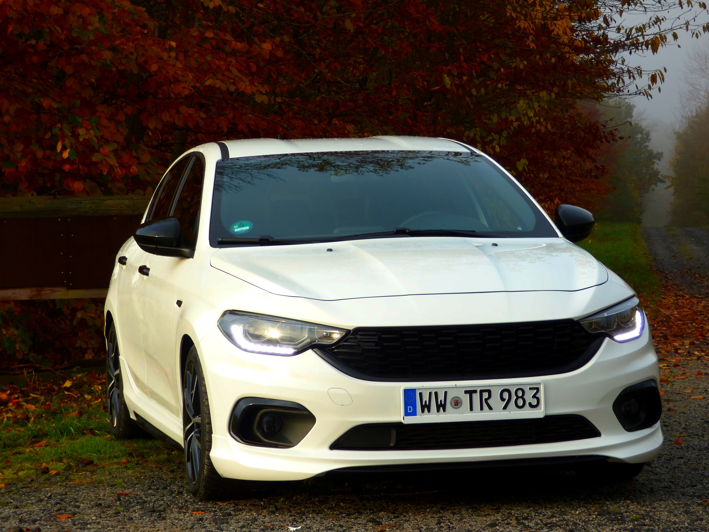 Vom Sonnenaufgang im Nebel geküsst.