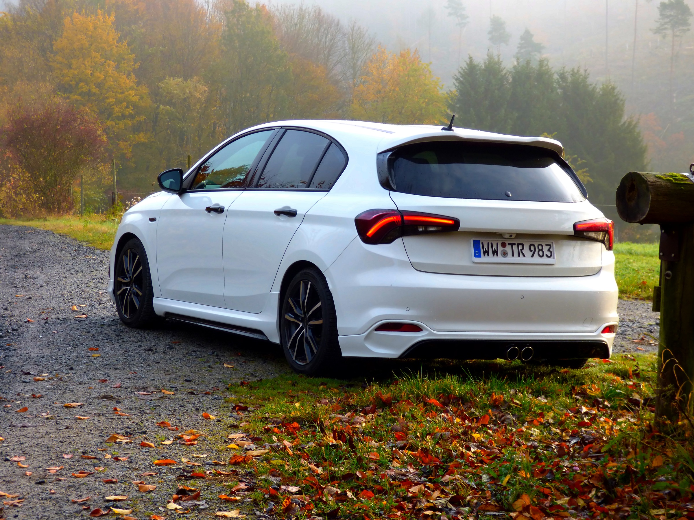 Vom Sonnenaufgang im Nebel geküsst.