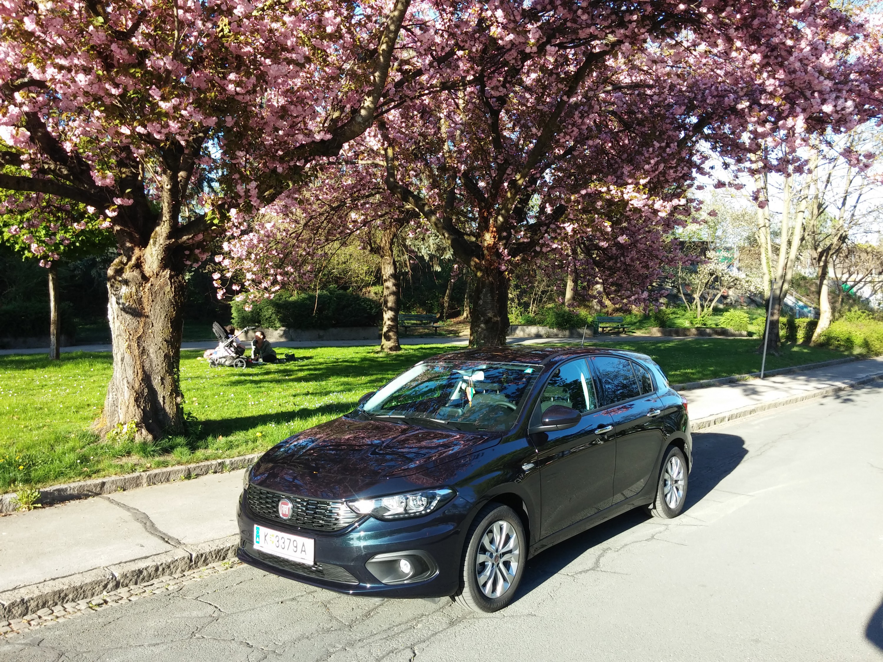 Vielleicht schafft eines der Fotos in die Auswahl für den Aprilkalender ?!