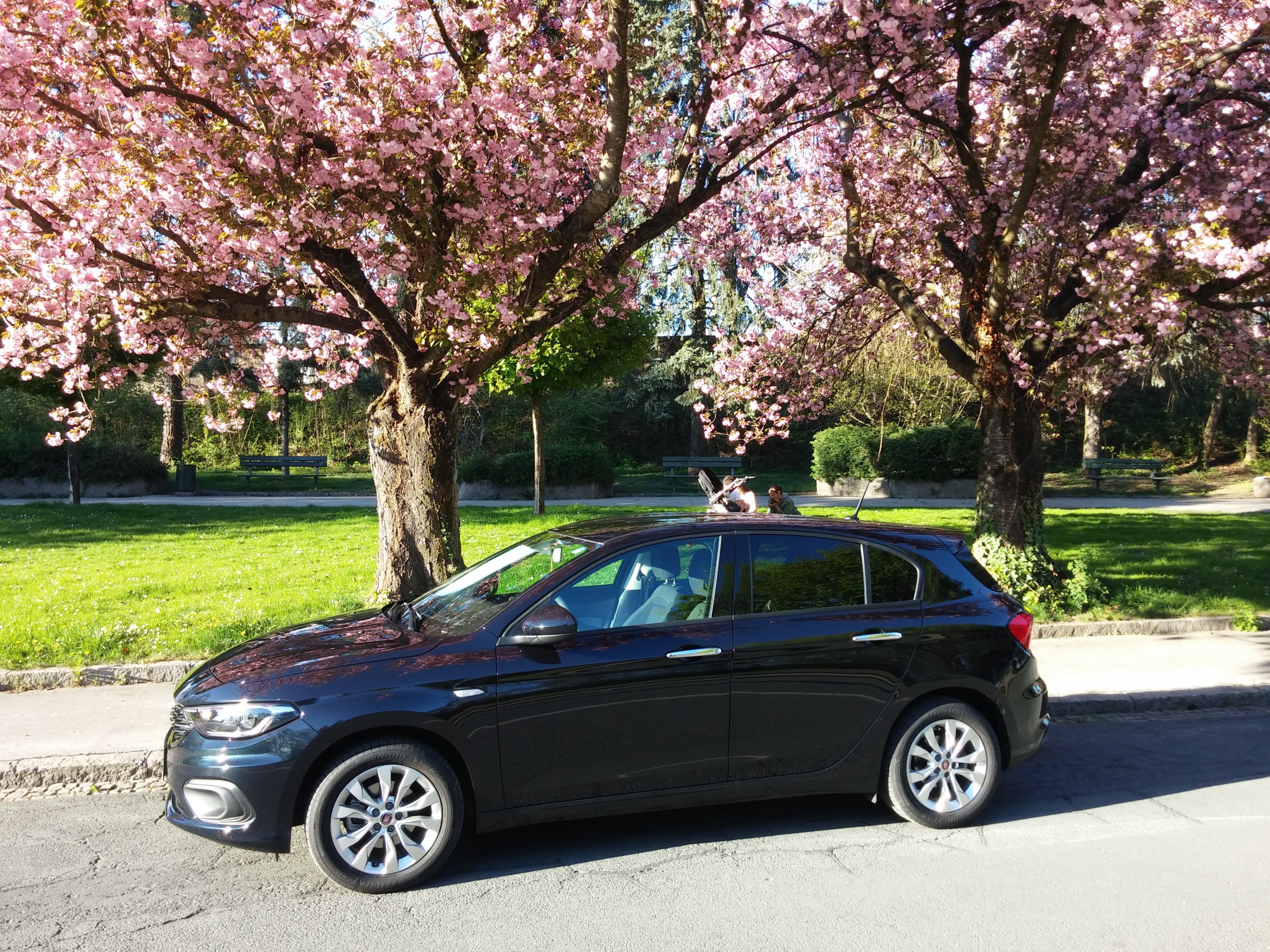 Vielleicht schafft eines der Fotos in die Auswahl für den Aprilkalender ?!