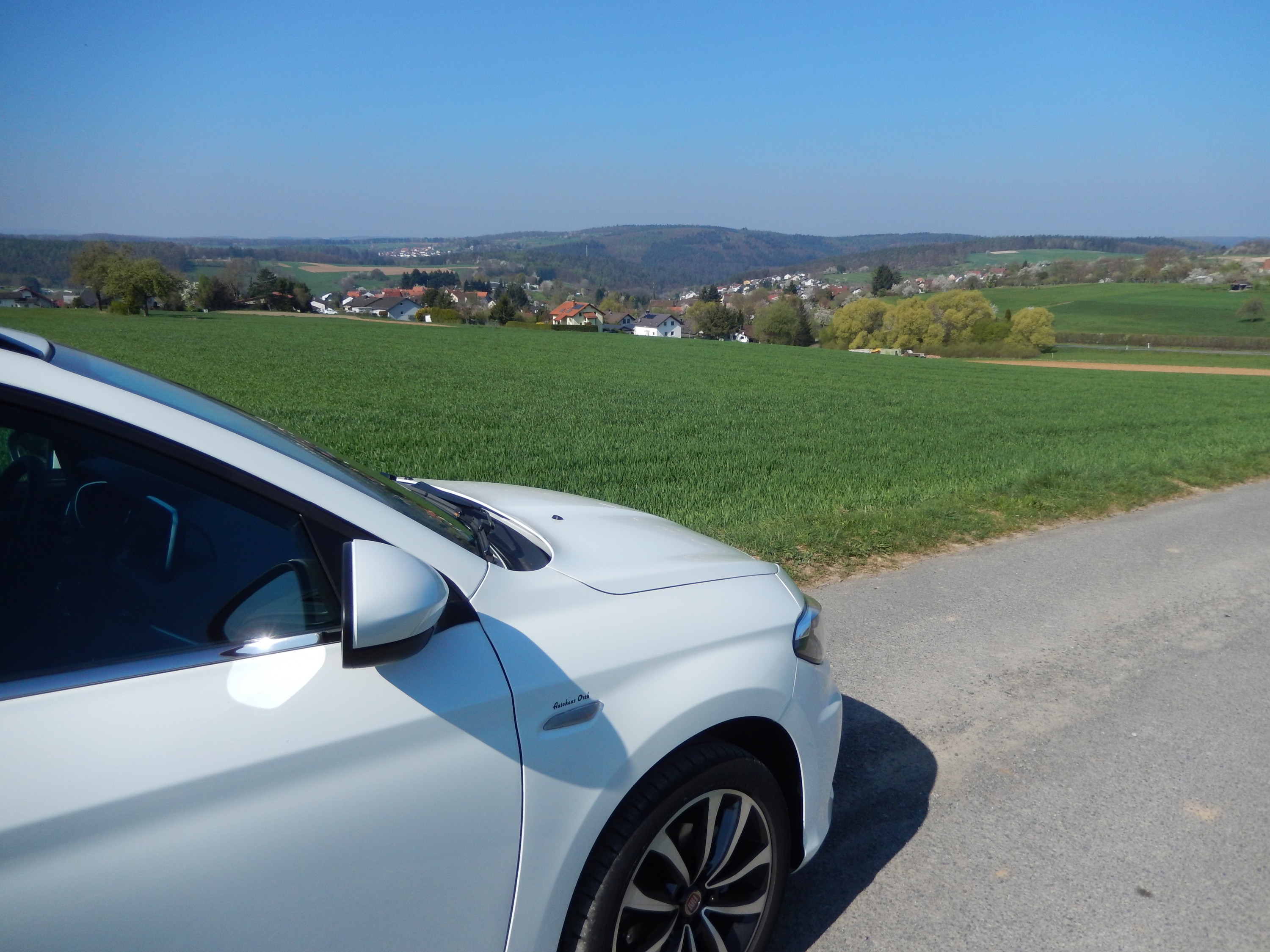 Hier bin ich Tipo, hier will ich sein!