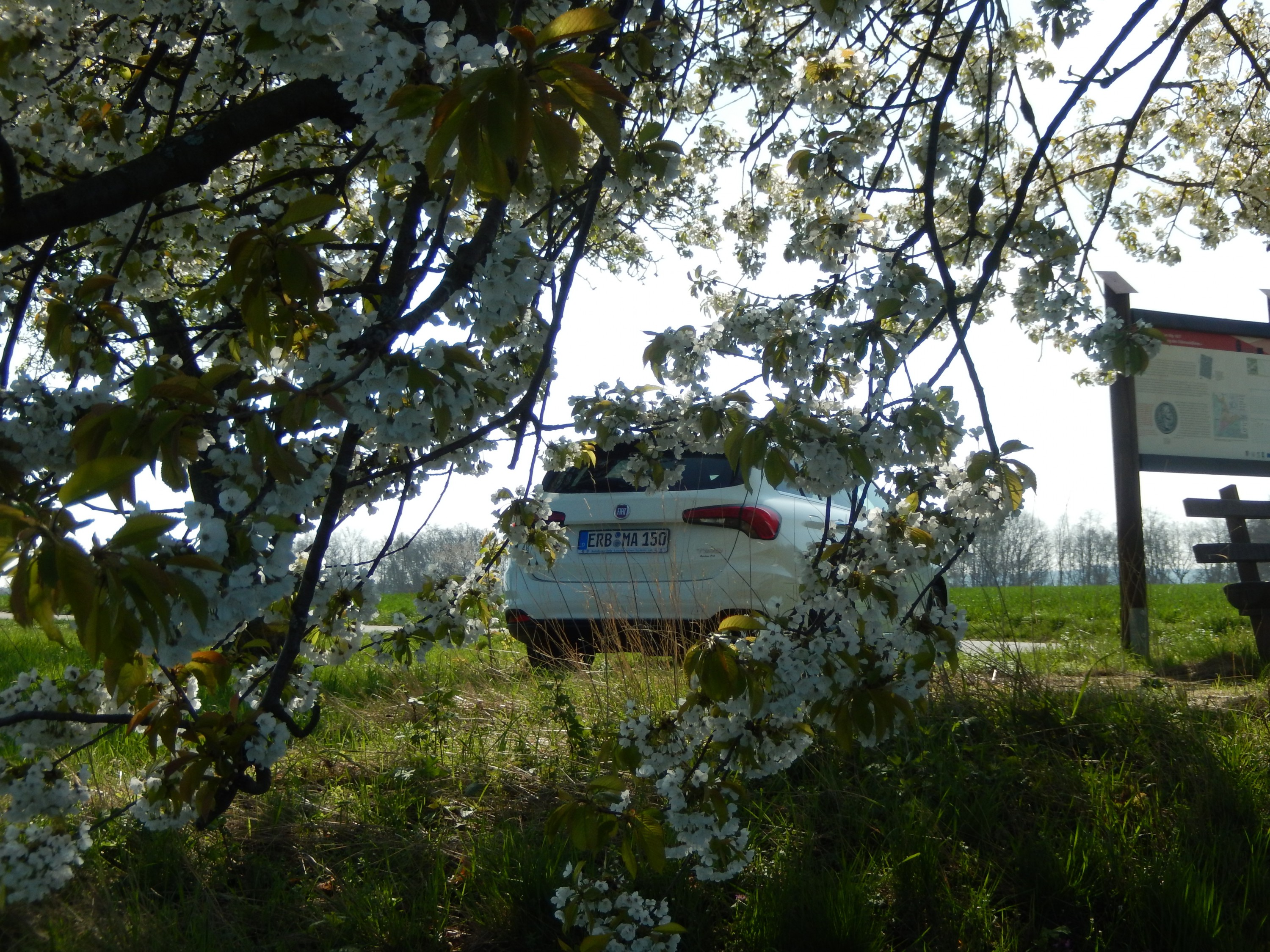 Weiße Pracht unter sich!