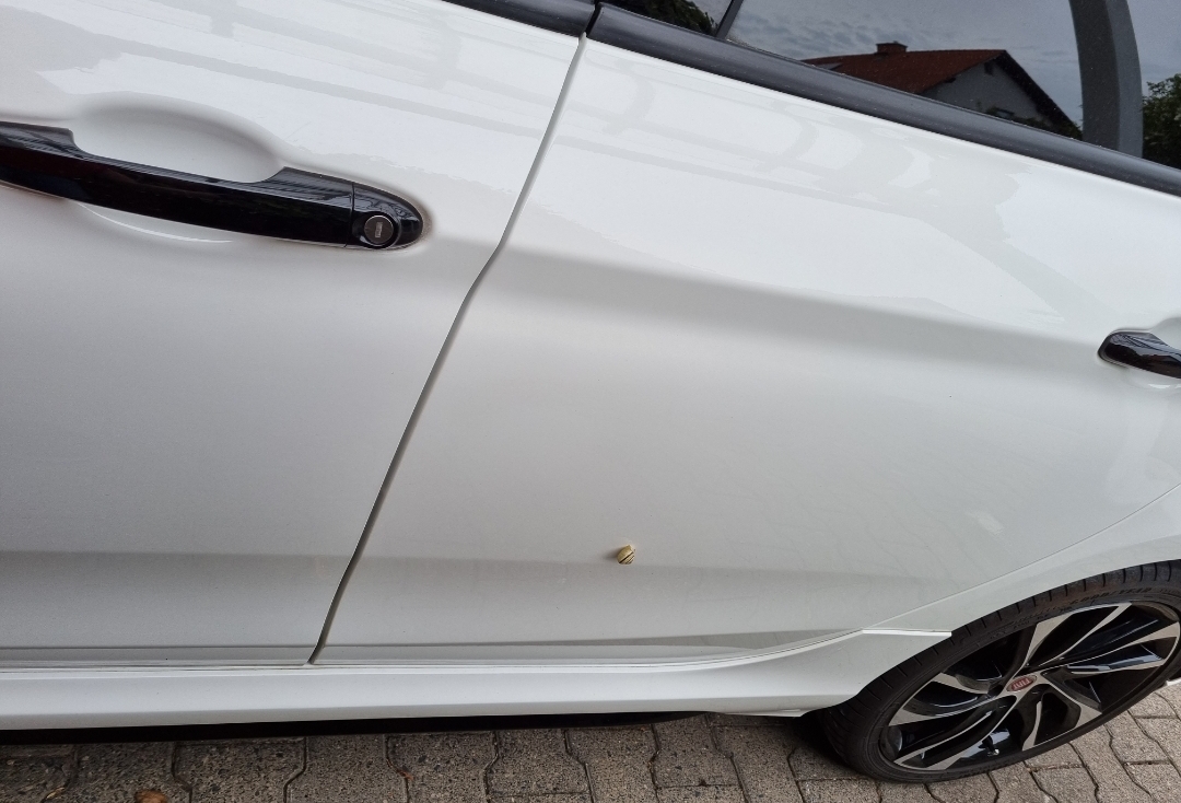 Mein Tipo und das Schneckchen