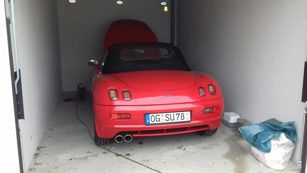 Erwachen aus dem Winterschlaf