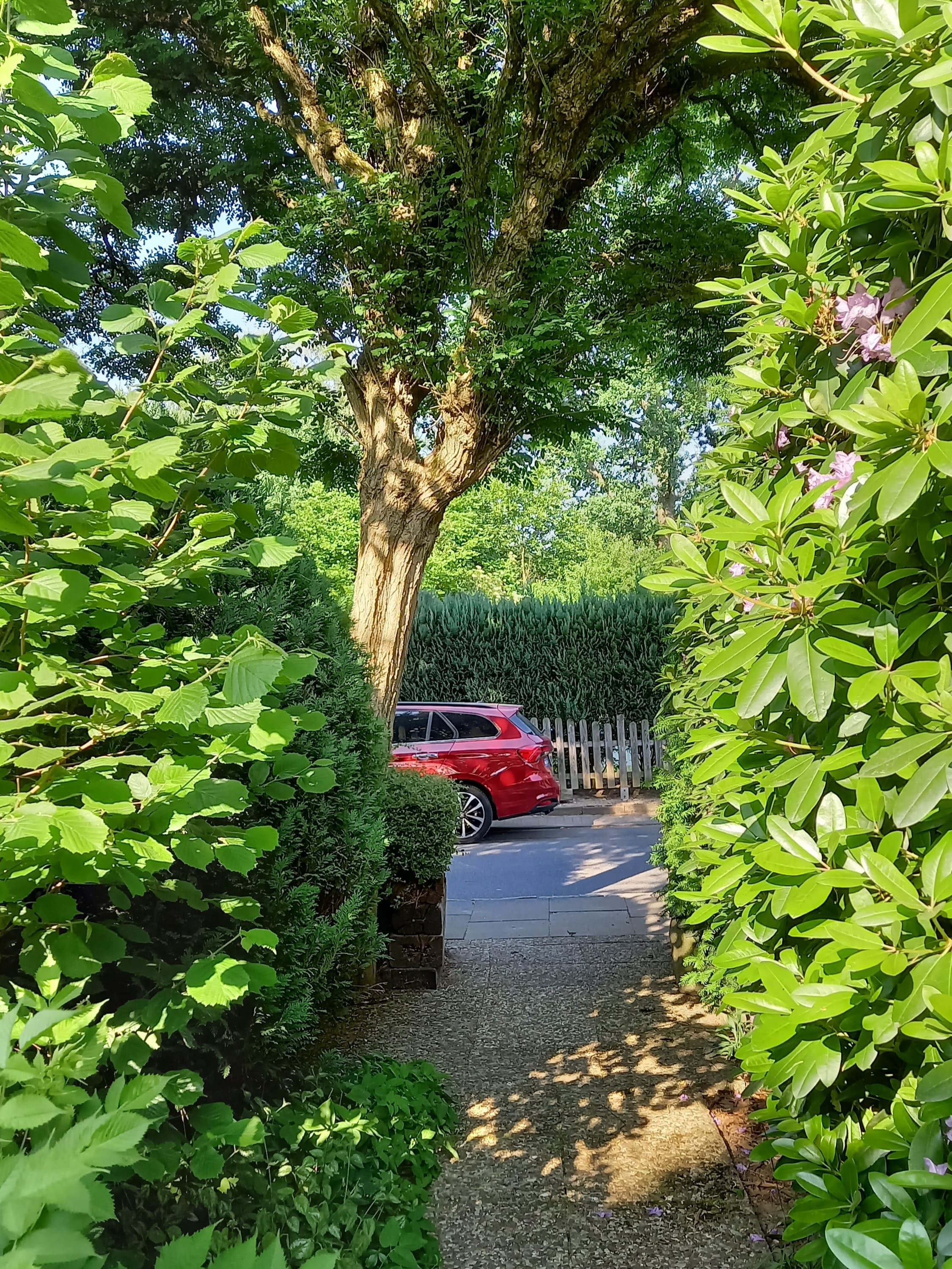 Ein Tipo im Grünen...